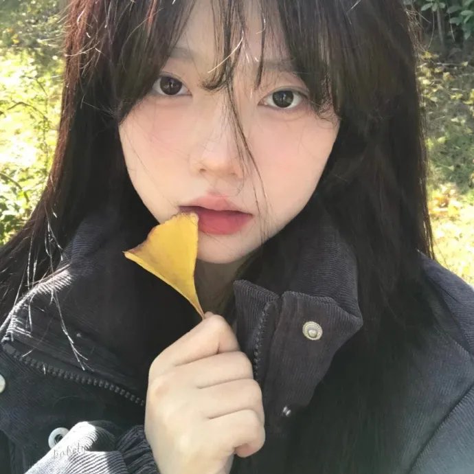 风骚律师第四季