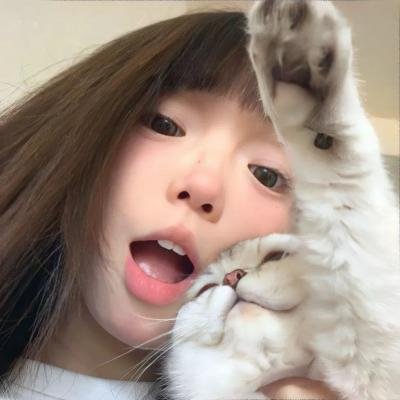 普里斯特法官